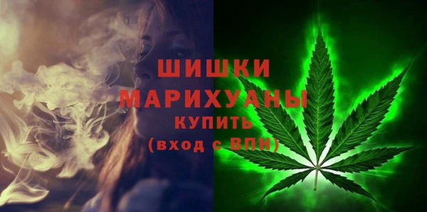 крисы Ельня