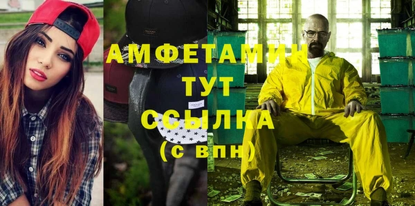 крисы Ельня