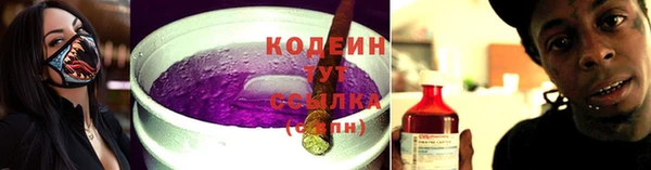крисы Ельня