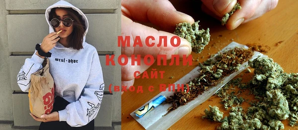 крисы Ельня