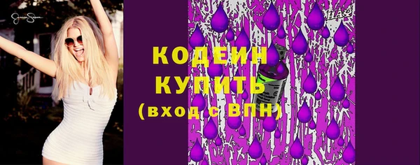 крисы Ельня